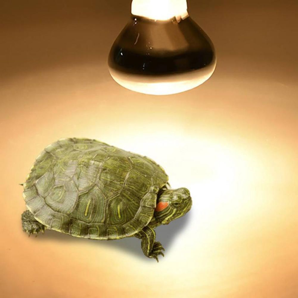 Lampa grzewcza dla żółwi, grze – Basking Bulb Halogen recenzja i cena