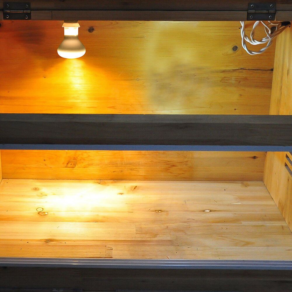 Regulator temperatury grzejnik – Basking Bulb Halogen recenzja i cena