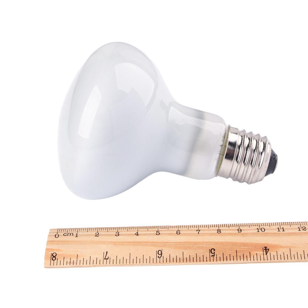 Regulator temperatury grzejnik – Basking Bulb Halogen recenzja i cena