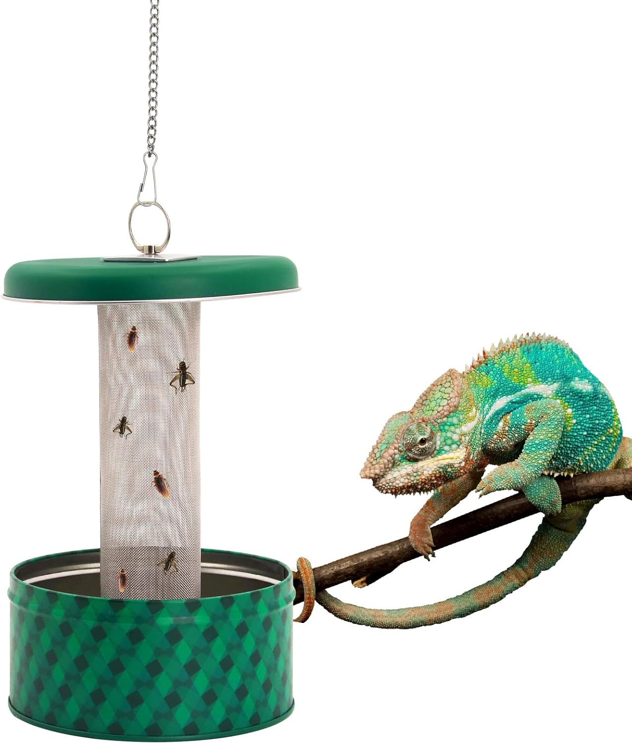 Podajnik dla agamy brodatej, m – Water Dish Reptile recenzja i cena