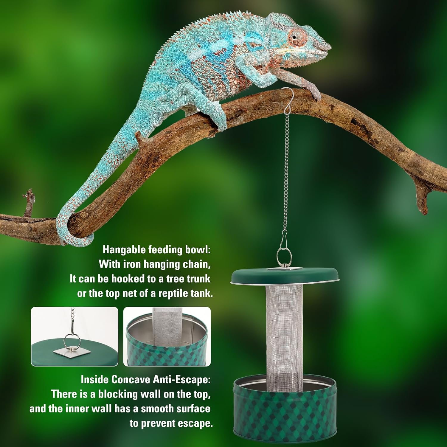 Podajnik dla agamy brodatej, m – Water Dish Reptile recenzja i cena