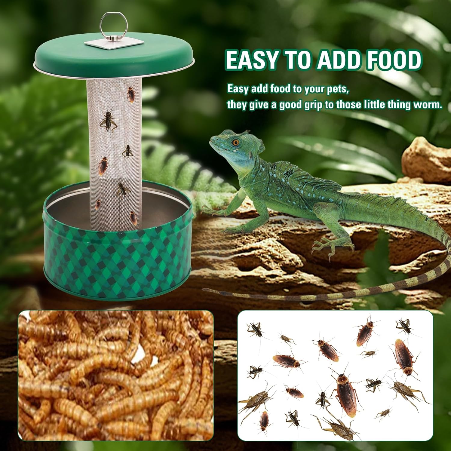 Podajnik dla agamy brodatej, m – Water Dish Reptile recenzja i cena