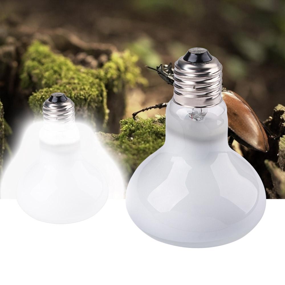 Grzejnik dla żółwi, lampa grze – Basking Bulb Halogen recenzja i cena