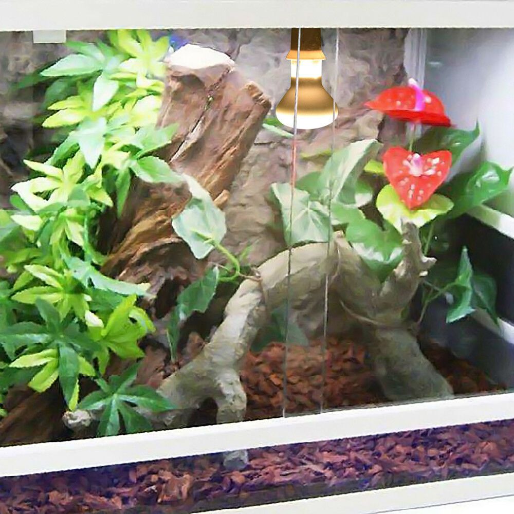 Grzejnik dla żółwi, lampa grze – Basking Bulb Halogen recenzja i cena