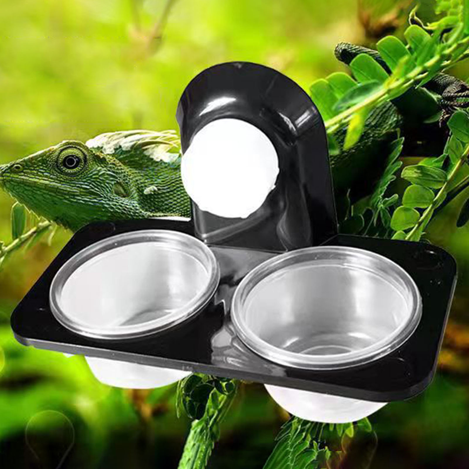 Crested Gecko Feeding Ledge Mi – Water Dish Reptile recenzja i cena